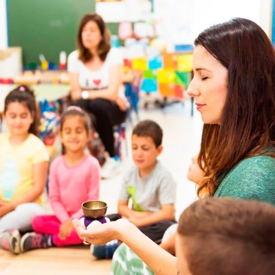 ESTRATEGIAS DE EDUCACIÓN Y REGULACIÓN EMOCIONAL EN LA COMUNIDAD EDUCATIVA